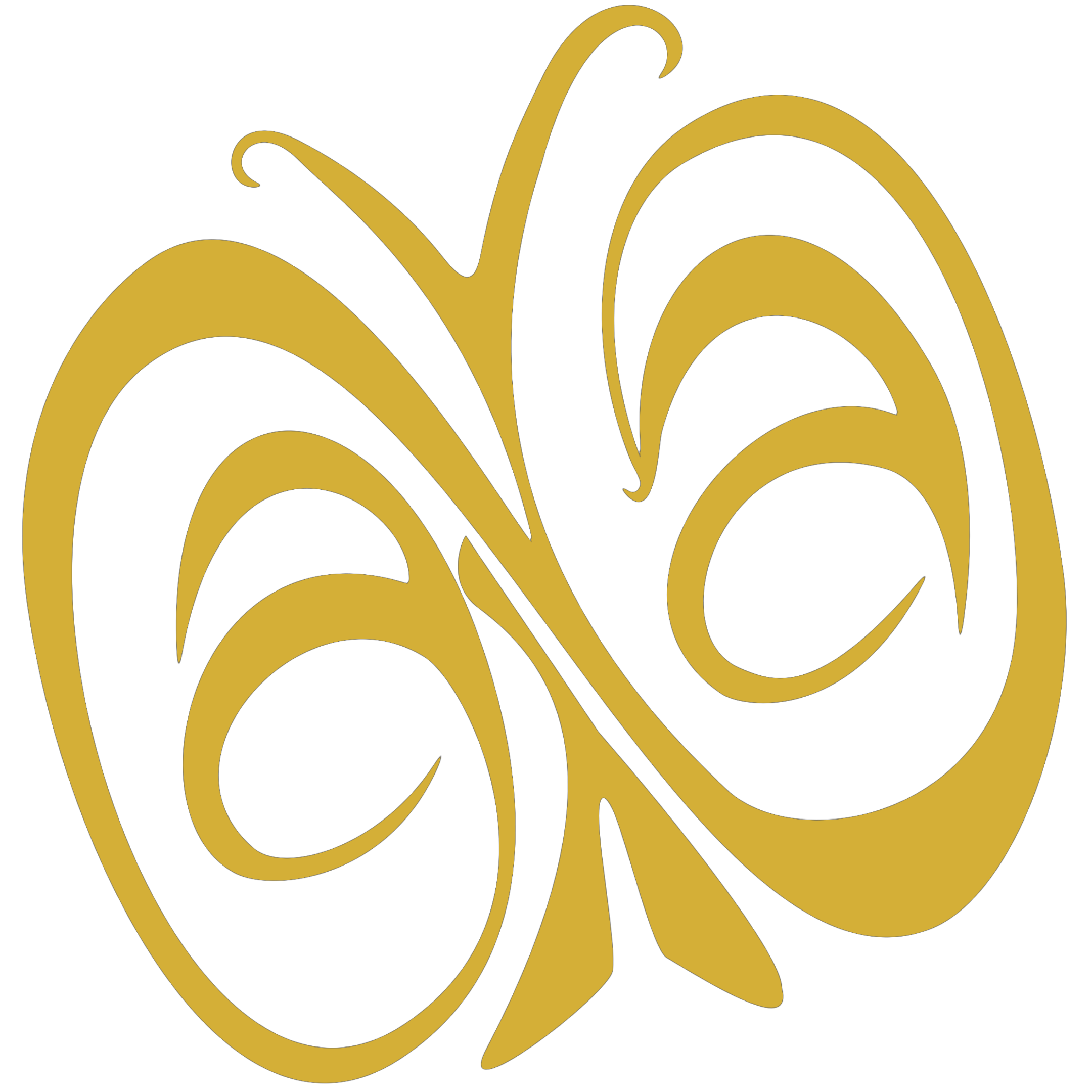 ANA Beauty Logo